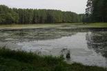 Старое озеро в парке им. Уральских добровольцев