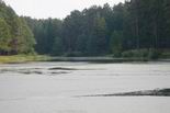 Старое озеро в парке им. Уральских добровольцев. Фото А. Иванцова