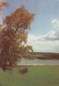 Озеро Вяльки. Фото В. С. Штанько из книги "Тихая моя родина"